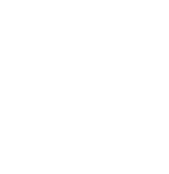 yanbo phone